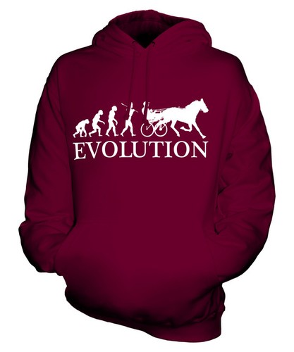 Horse and cart - horse,