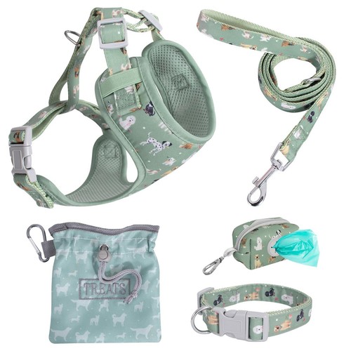 Green pet collar lead - green,
