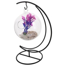 Transparent Betta Tank Small