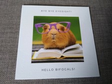CUTE & FUNNY GUINEA PIG