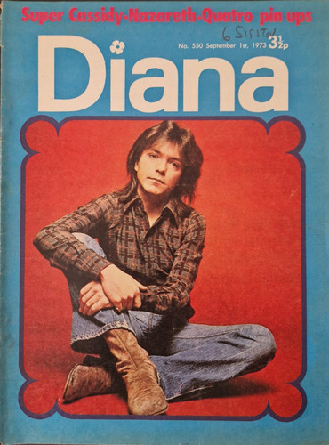 Diana magazine sept - magazine,