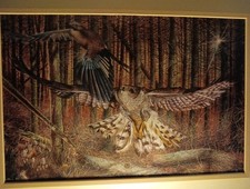 16x24 canvas goshawk - 16x24, of