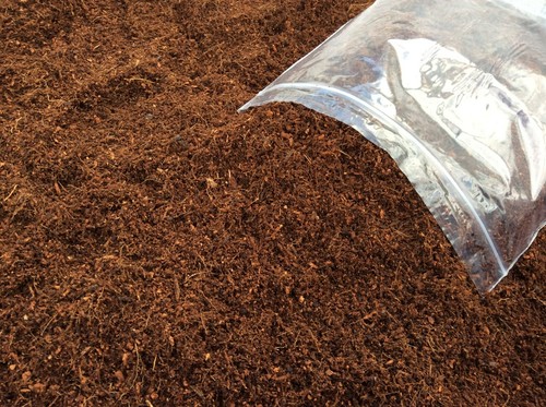 Coco fibre coir reptile frog - coco,
