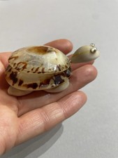 Vintage Small Sea Shell Limpet Turtle Figurine Souvenir Ornament