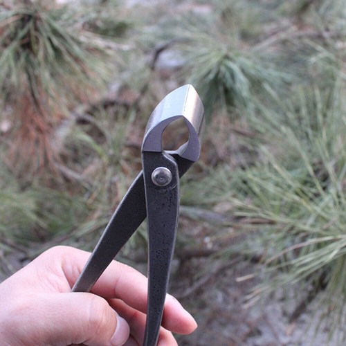 210mm carbon steel - carbon, bonsai