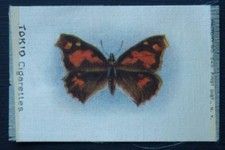 BUTTERFLIES and MOTHS Set 2Aa Black American Tobacco SILK issued c1910 TOP GRADE
