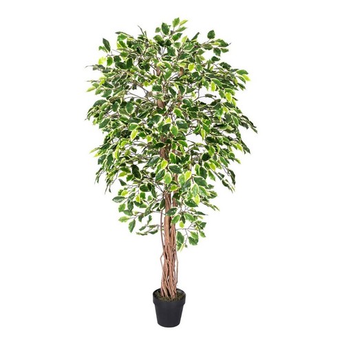 Green artificial ficus - artificial, 6