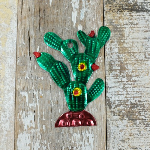 Mexican tin cactus myrtle - cactus,
