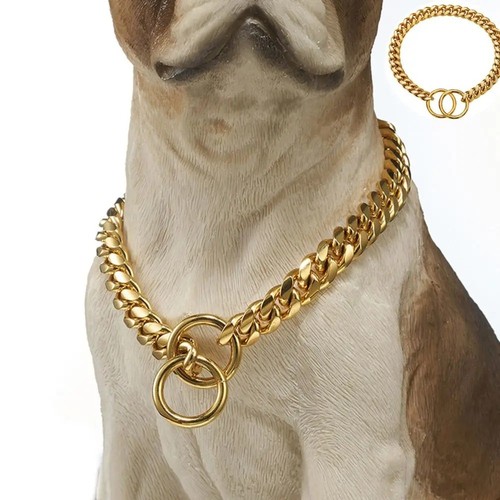 Choker stainless steel - choker, dog
