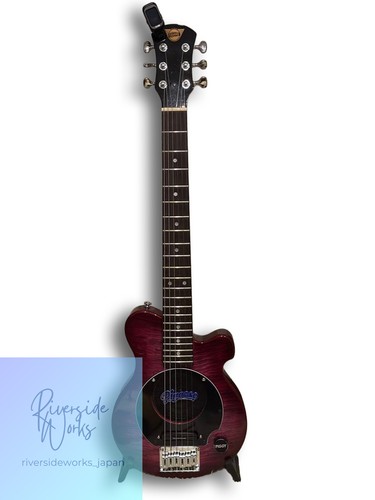 Pignose custom electric guitar - pignose,