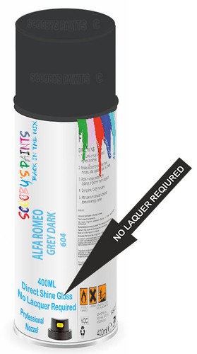 Spray paint for alfa romeo - paint,