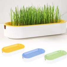 FREE POSTAGE Cat Grass Growing