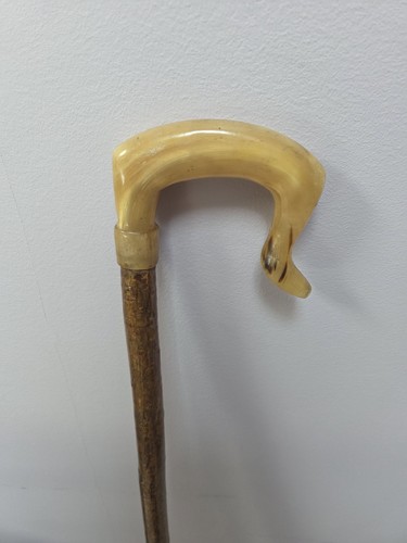 Rams horn shepherds crook - horn,
