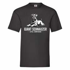Giant Schnauzer Loyal