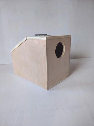 Desktop style budgie - ,