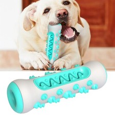 Pet puppy Dog Teething teeth