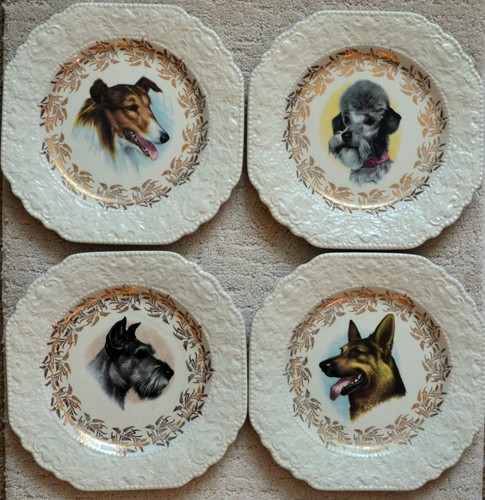 Dog plate scottish terrier - scottish,