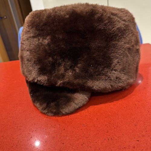 Vintage 1960s canadian fur - vintage,