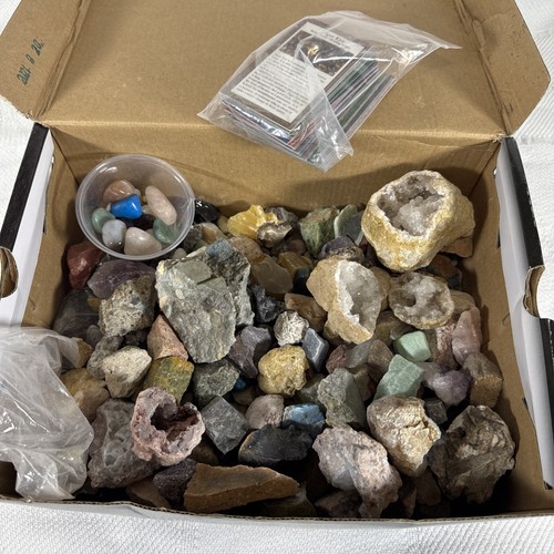 Gems crystals fossils and - fossils,