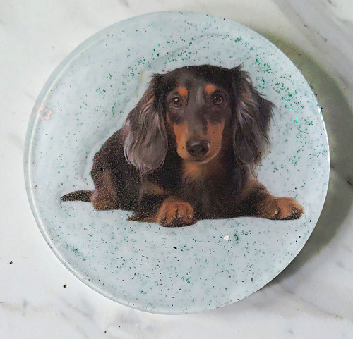 Round resin coaster dachshund - round,