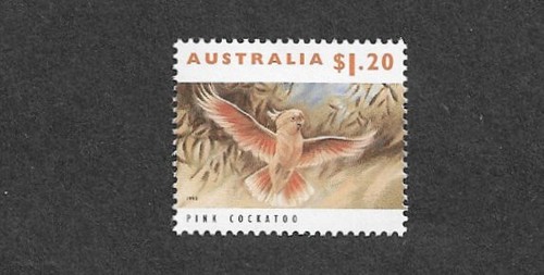 Birds pink cockatoo - pink,