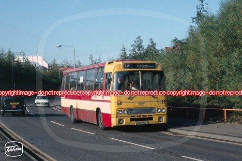 Bus photo kelvin - bus,