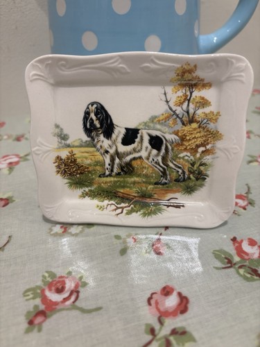 Royal worcester palissy cocker - royal,