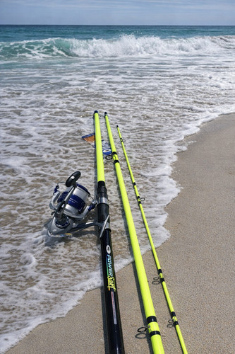 Surf beachcaster rod shore - rod,