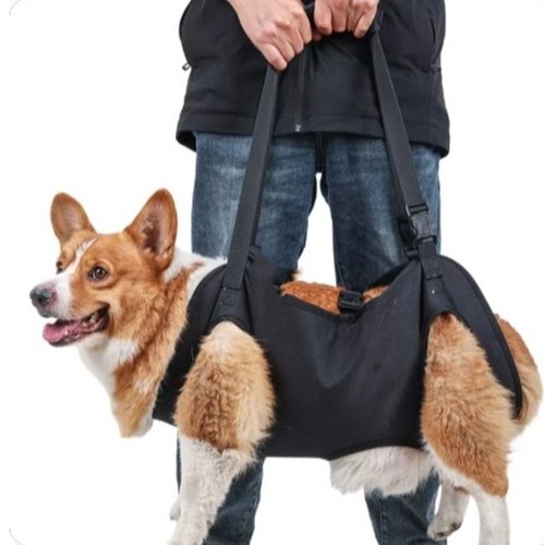 Portable dog sling - portable,