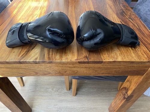 Boxing punch bag and - boxing, gloves