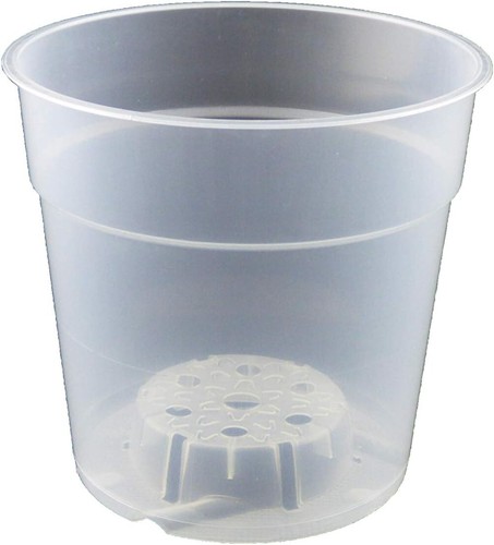 Clear orchid plant pots - 5,