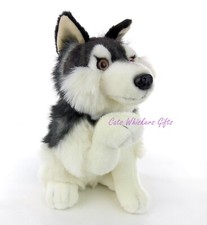 Sitting husky puppy - sitting,