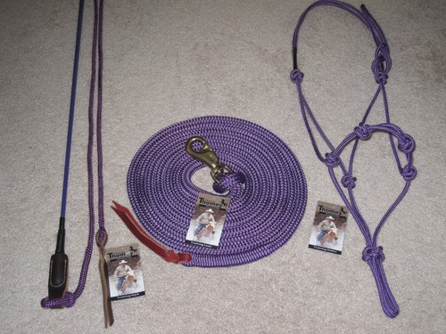 Thomey horse training - horse, set~