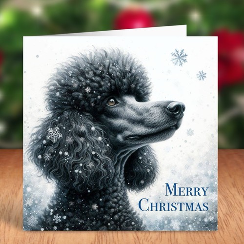 Standard poodle dog christmas - poodle,