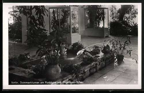 Berlin exhibition under - ak,
