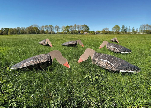 Goose decoys sillosock - goose,