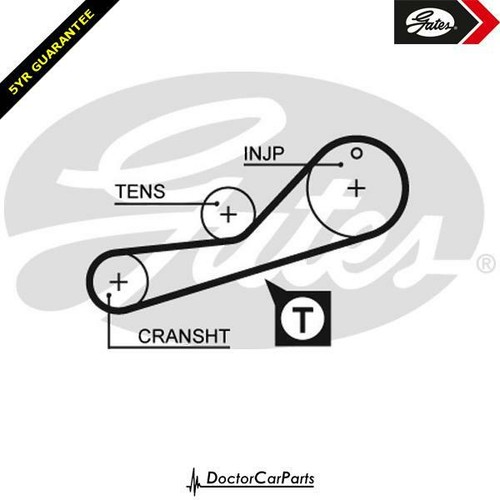 Injection pump timing belt - timing, for