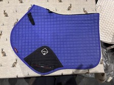 Le mieux Blueberry CC