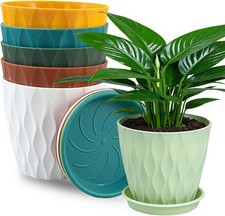 Plant Flower Pots Small 6