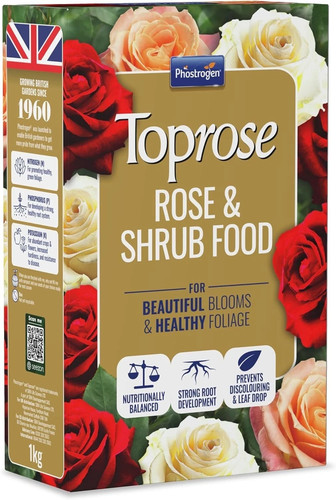 Toprose 5878143 rose and - 5878143, shrub
