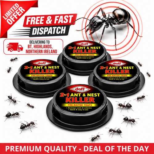 Ant killer bait stations - ant,