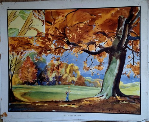 Eileen soper vintage enid - 2,