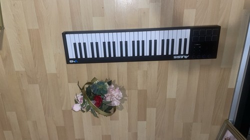 Alesis keyboard piano - piano, 49