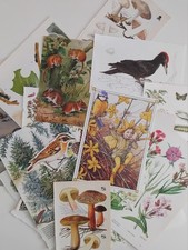 Junk Journal Ephemera Vintage Woodland Fairy Nature Scrapbook Paper Craft Joblot