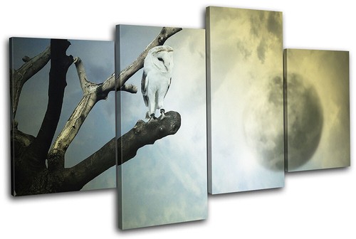 Owl moon space surrealism - owl,