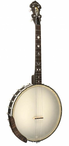 Gold tone irish - it-17,