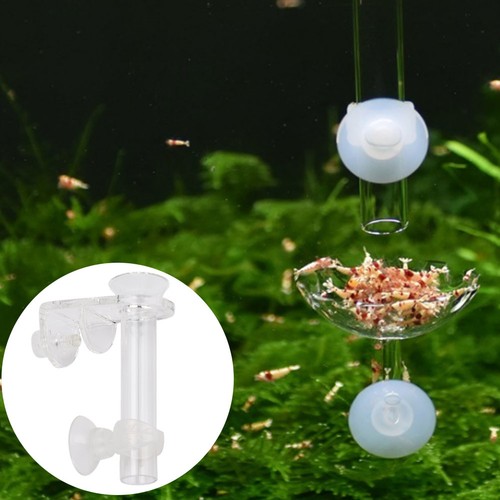 Aquarium feeding tube - feeding,