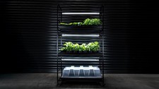 X-Stream Propagator Racks -
