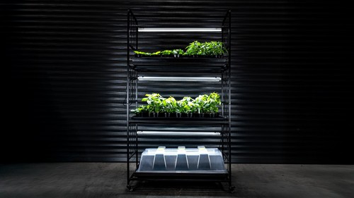 Stream propagator racks - x-stream,