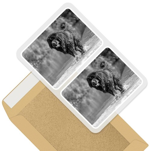 Rectangle stickers 10cm bw - 2,